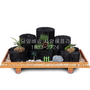 숯분재 514