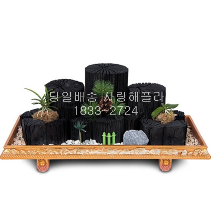 상세이미지
