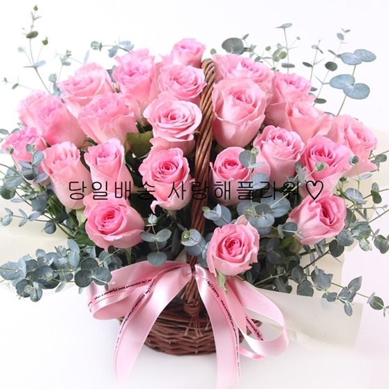 마르샤