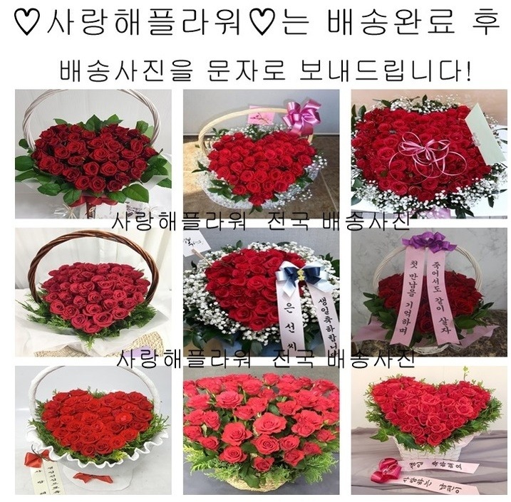 상세이미지