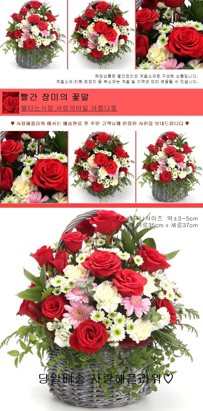 상세이미지