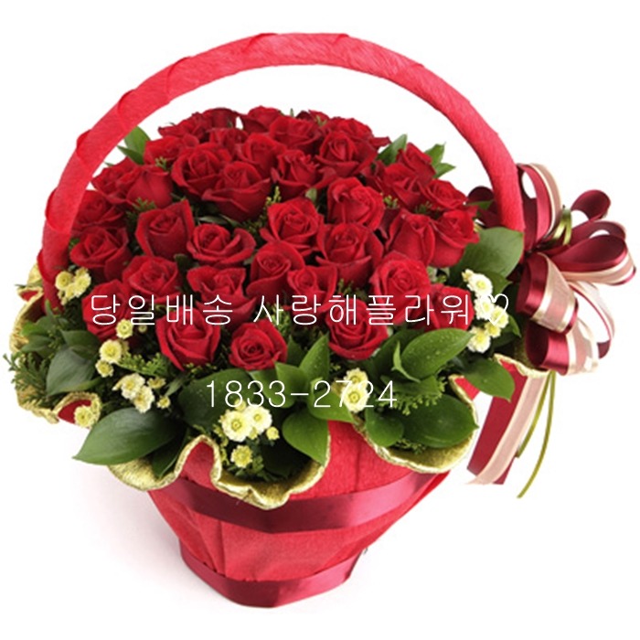 상세이미지