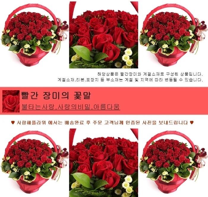 상세이미지
