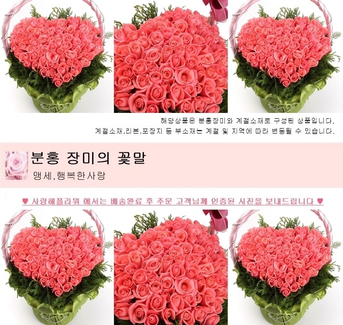 상세이미지