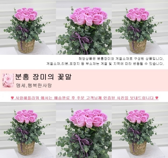 상세이미지