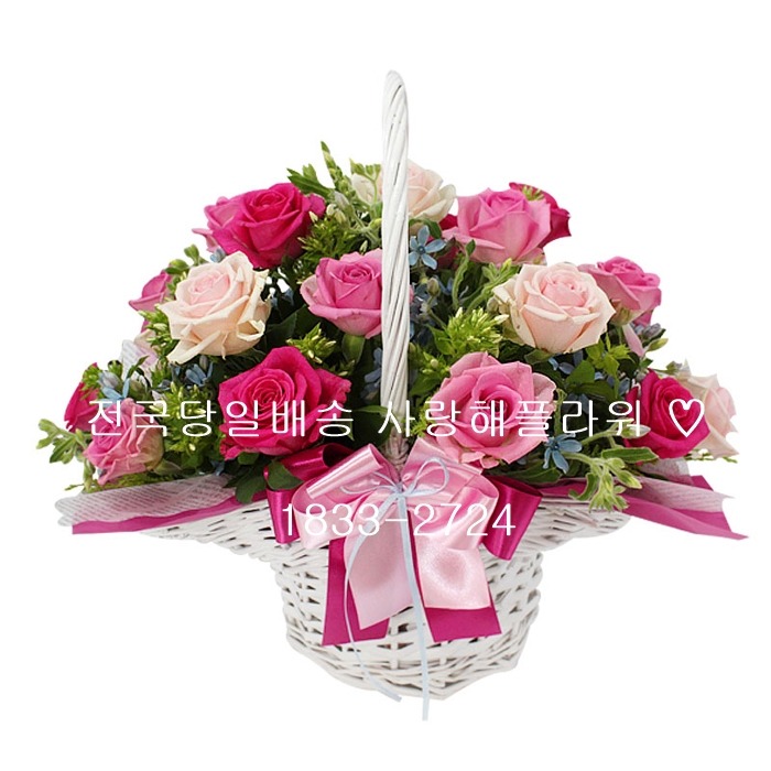 상세이미지