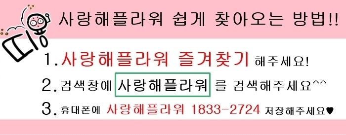 상세이미지