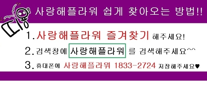 상세이미지