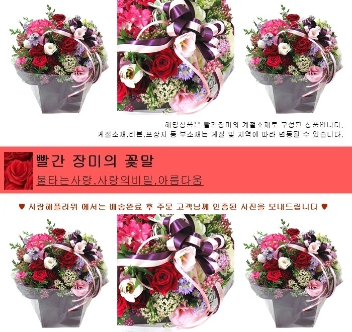 상세이미지