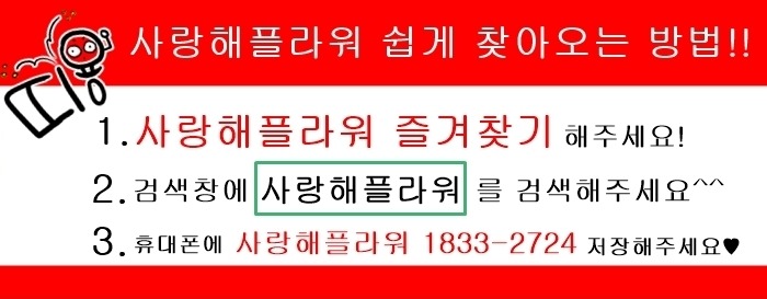상세이미지