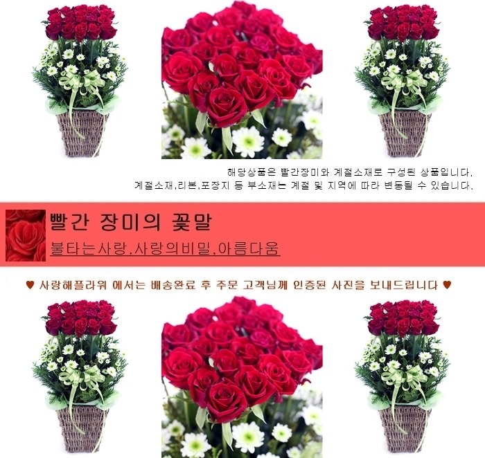 상세이미지