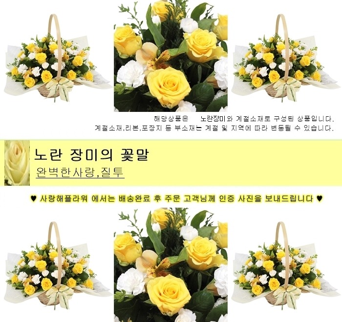 상세이미지