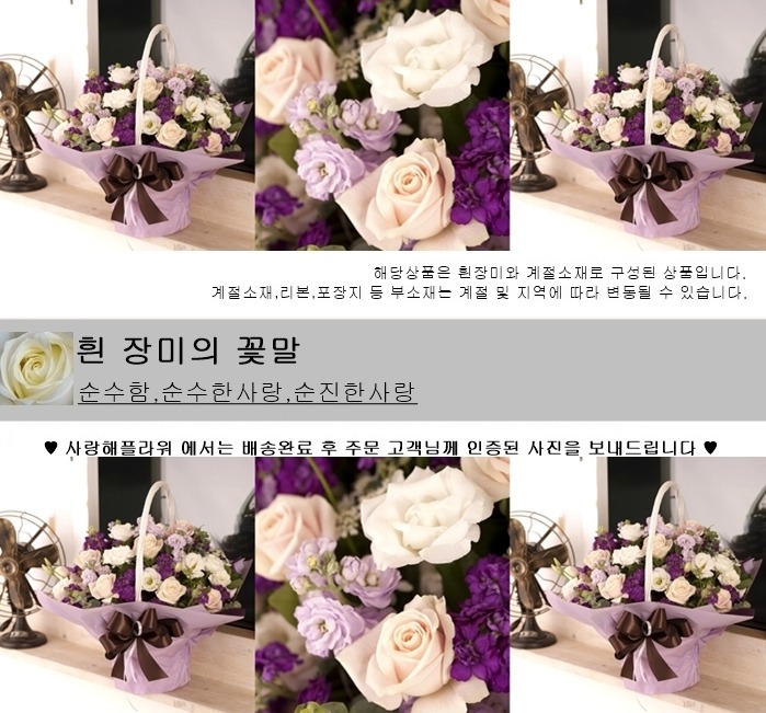 상세이미지