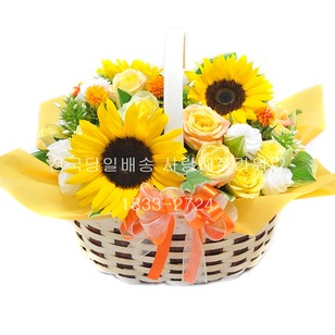 하늘바라기