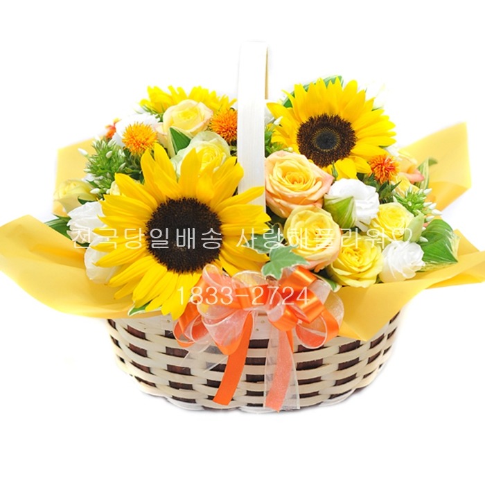 상세이미지