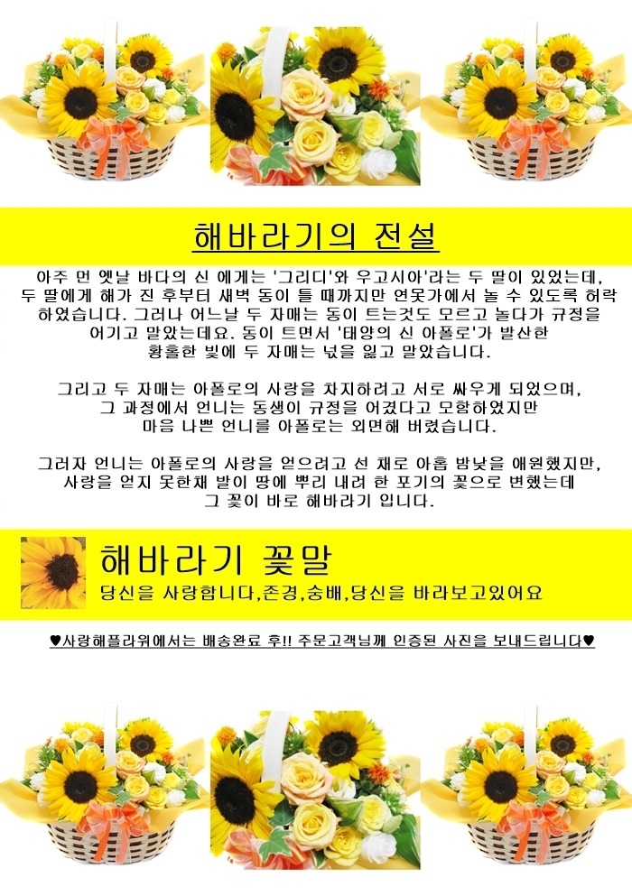상세이미지