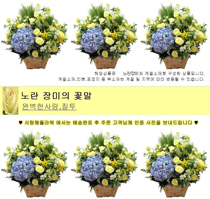 상세이미지