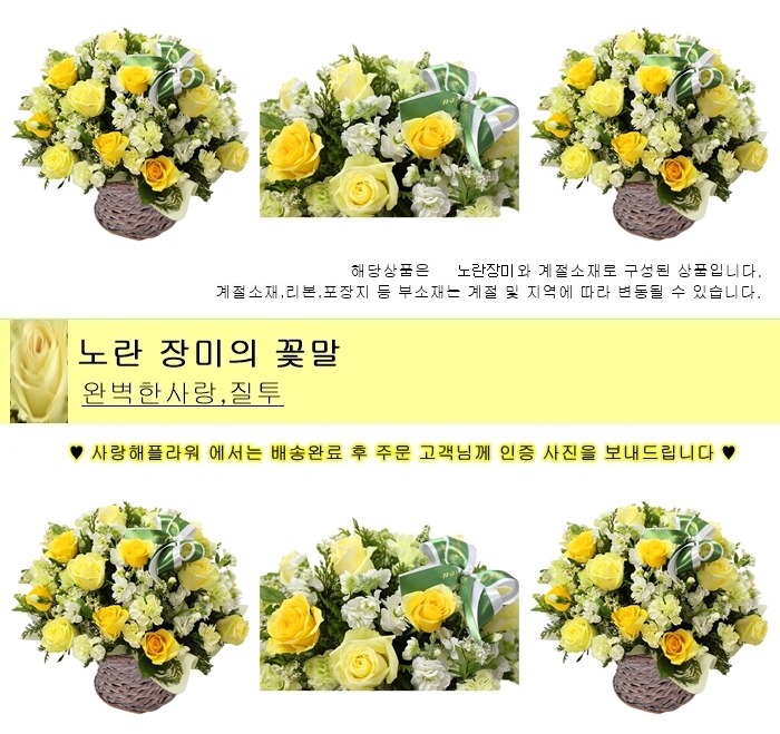 상세이미지