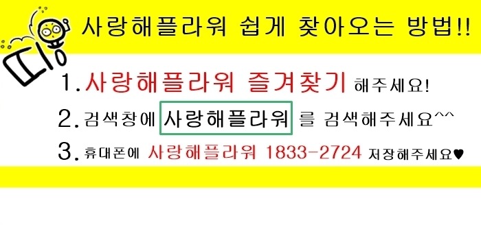 상세이미지
