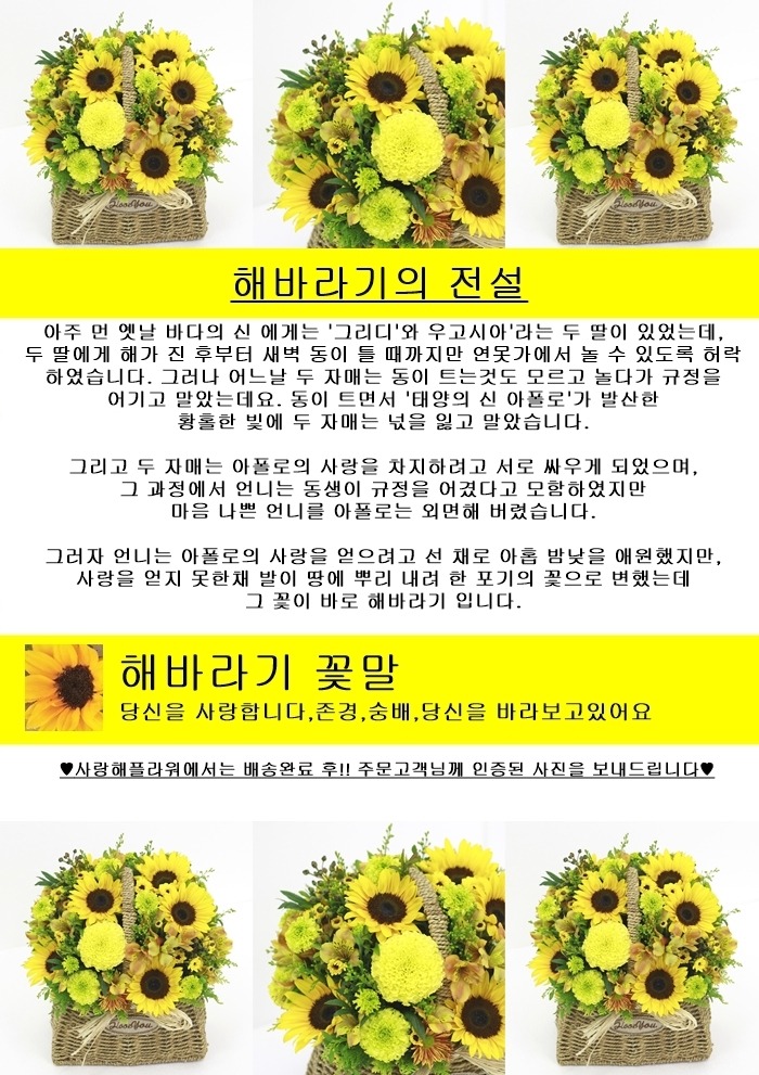 상세이미지
