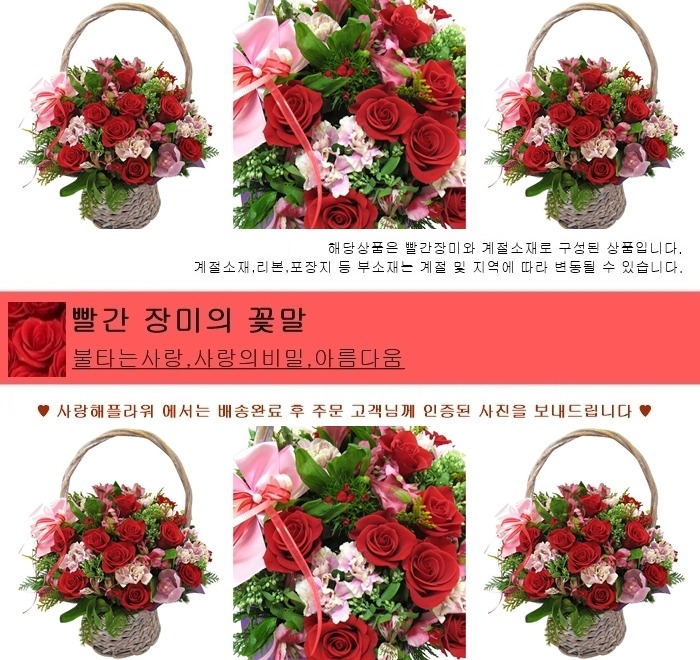 상세이미지