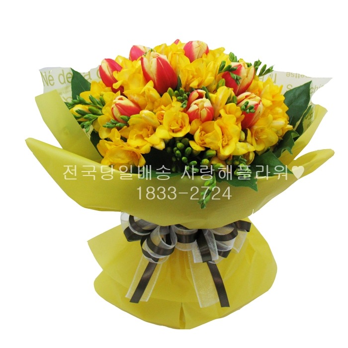 상세이미지