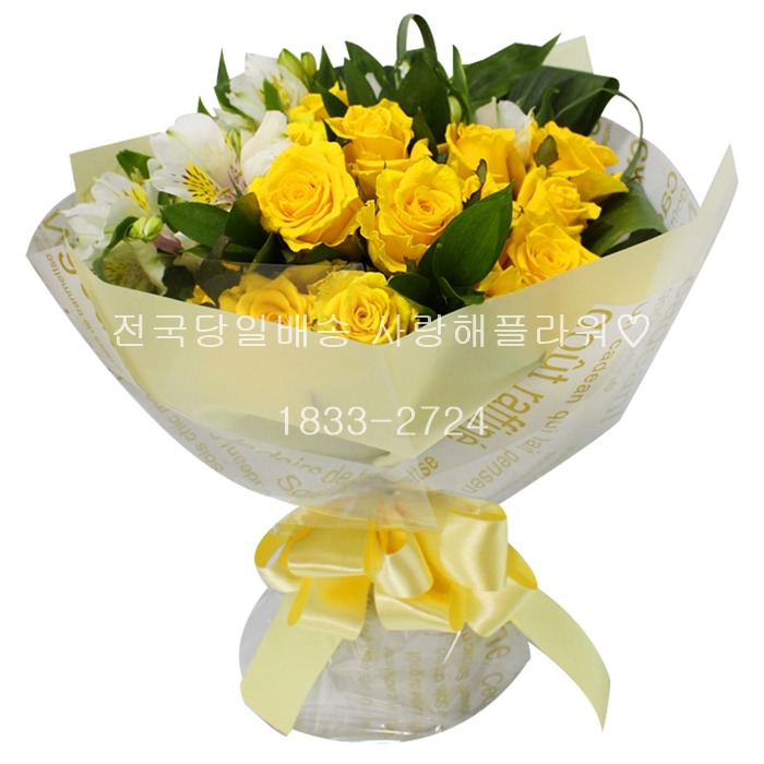 상세이미지