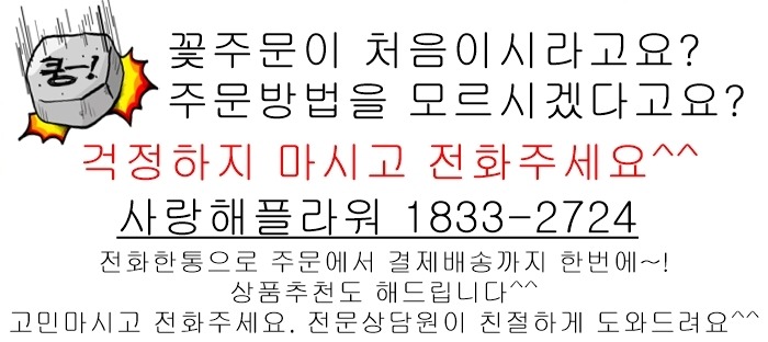 상세이미지