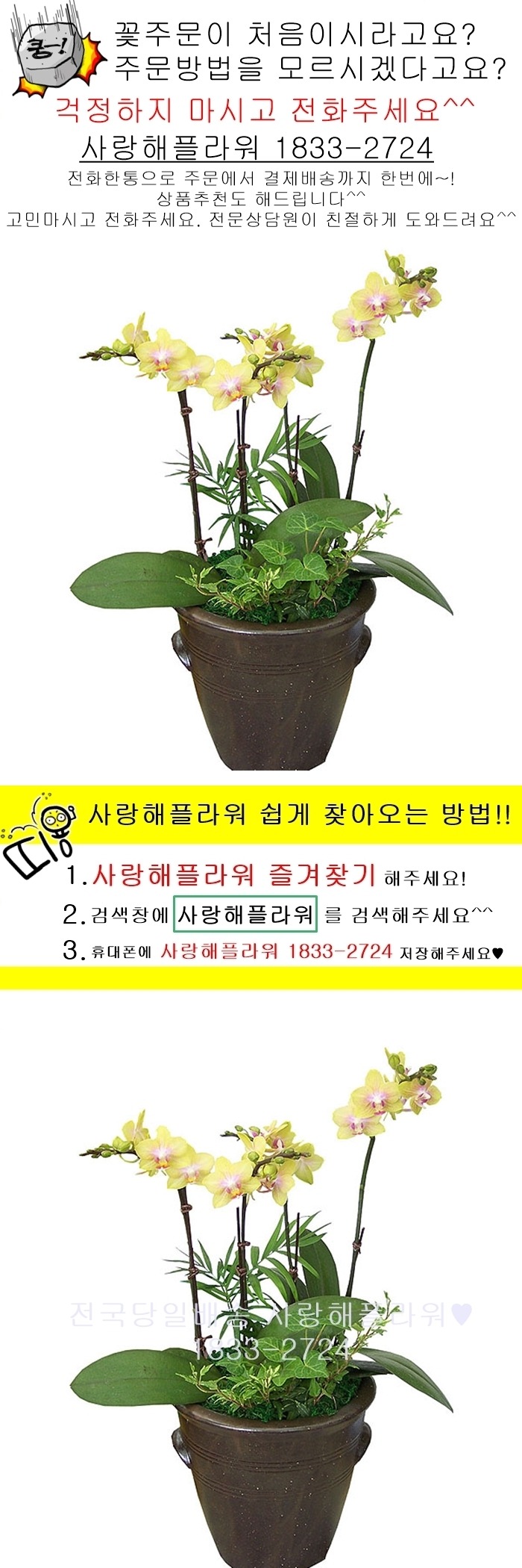 상세이미지