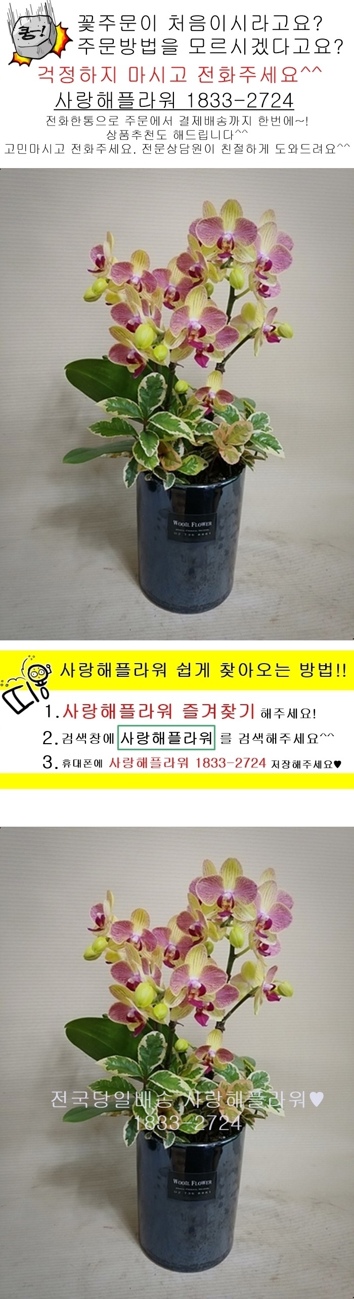 상세이미지
