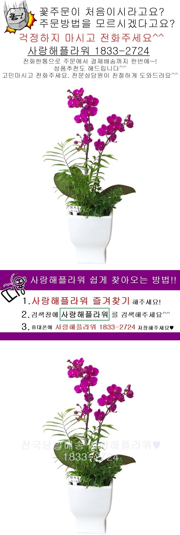 상세이미지