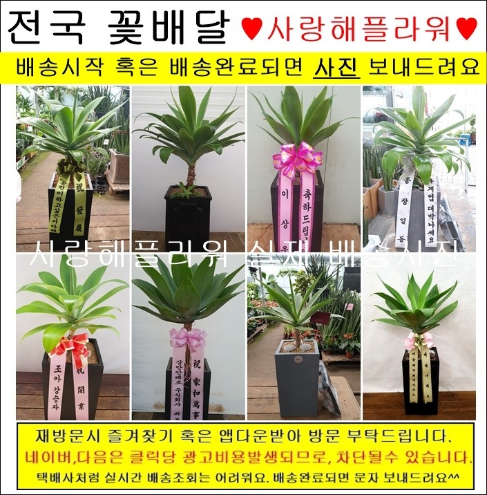 상세이미지