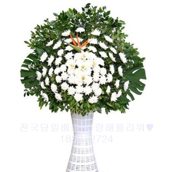 장구스텐드 2285
