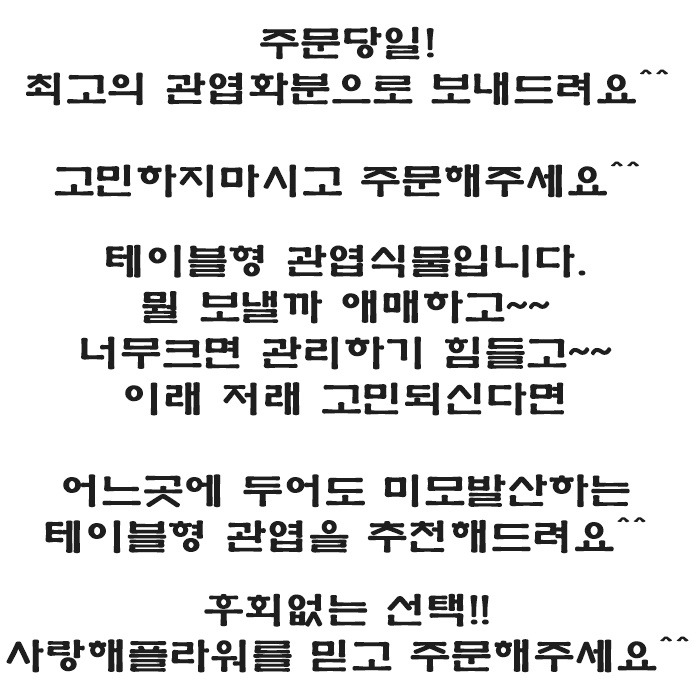 상세이미지