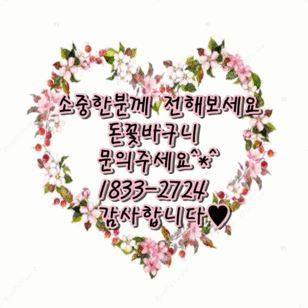 돈꽃바구니 (20송이가량)