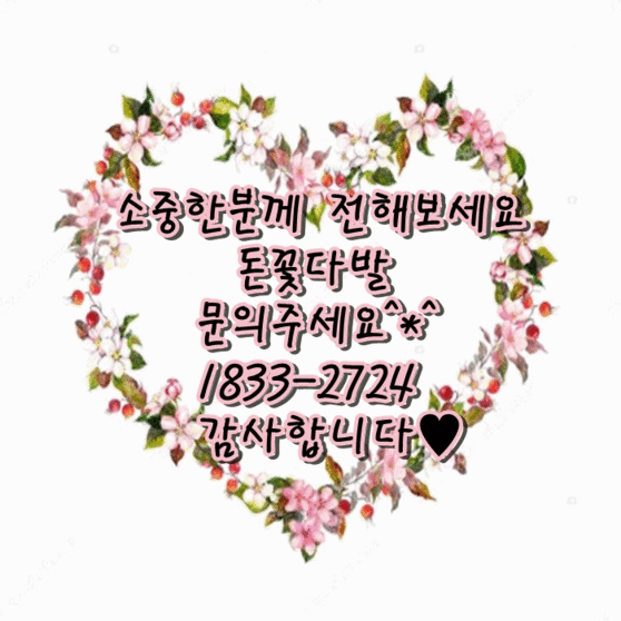 돈꽃다발 (20송이가량)