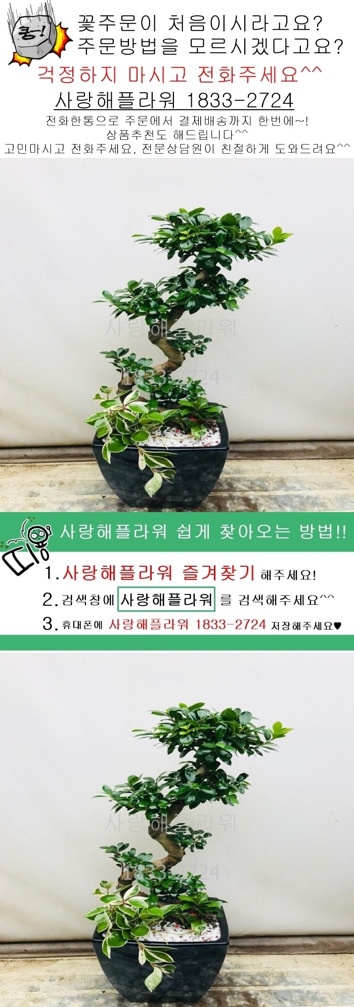 상세이미지
