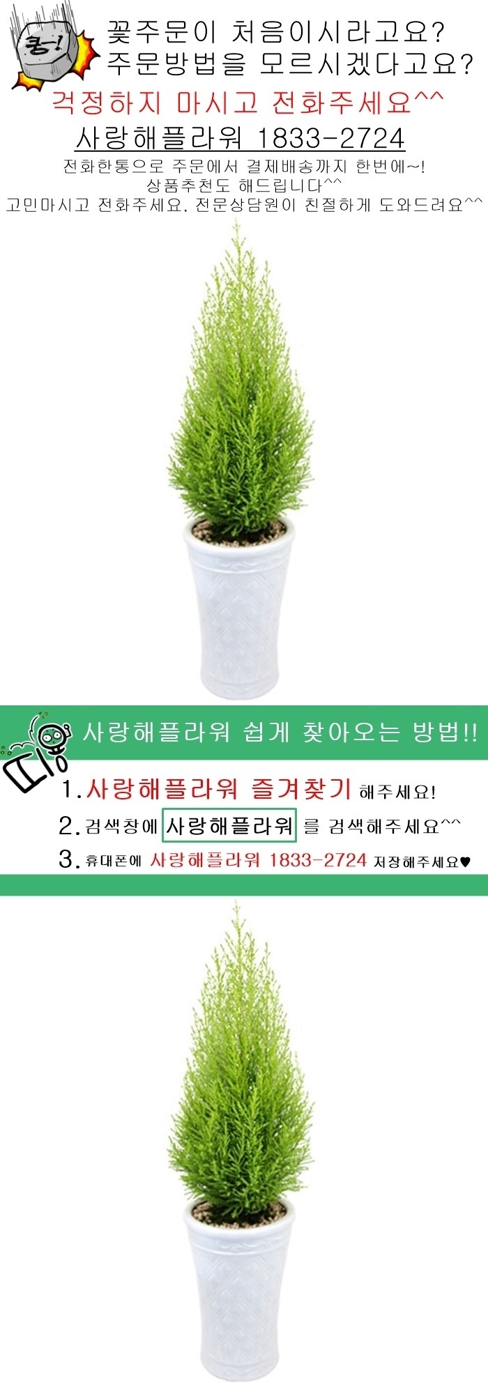 상세이미지