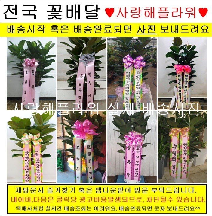 상세이미지