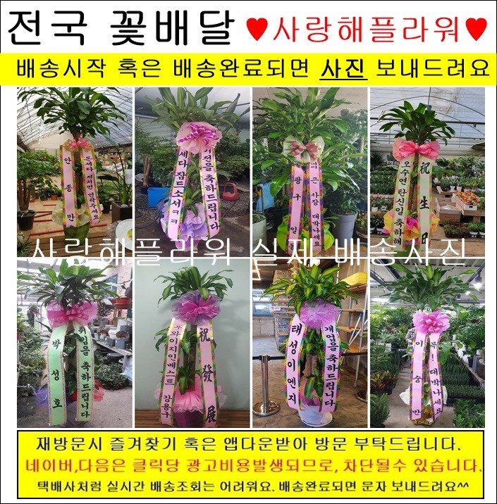 상세이미지