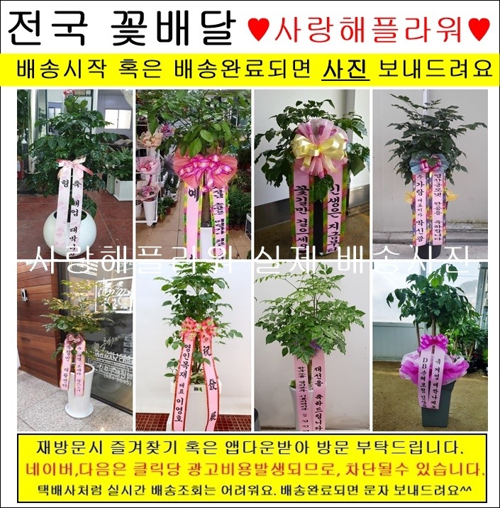 상세이미지