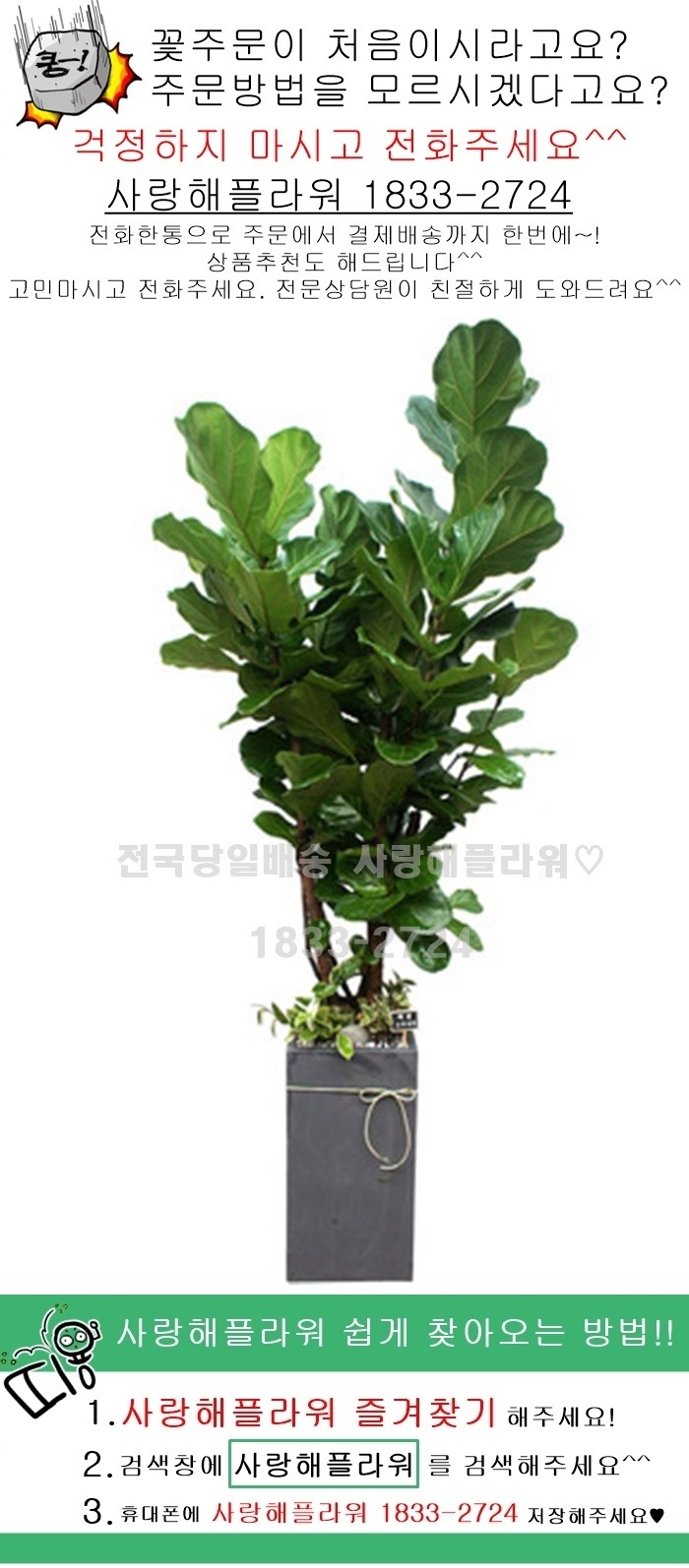 상세이미지