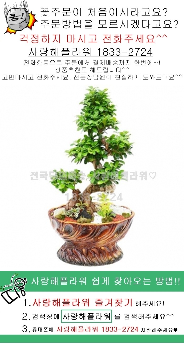 상세이미지
