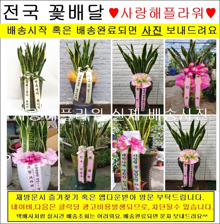 상세이미지