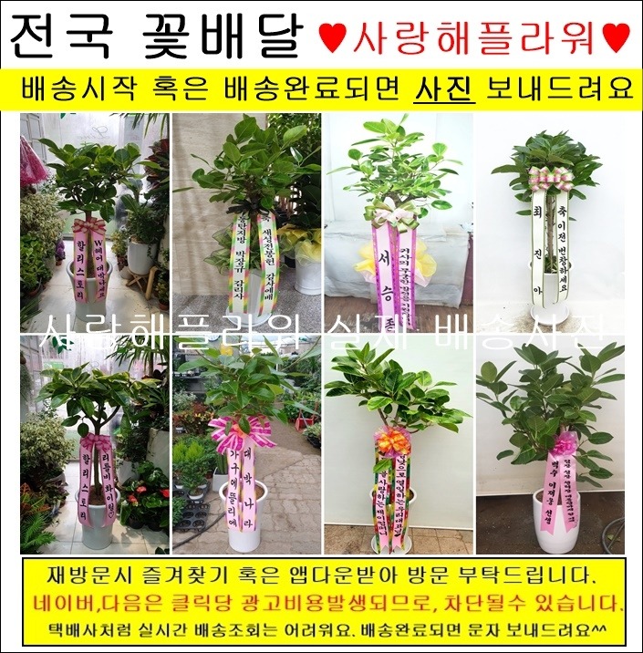 상세이미지