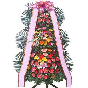 ★축하3단 특가상품★ 새꽃