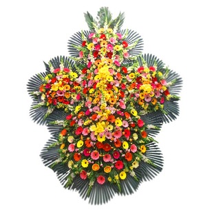 축하5단(킹왕짱)