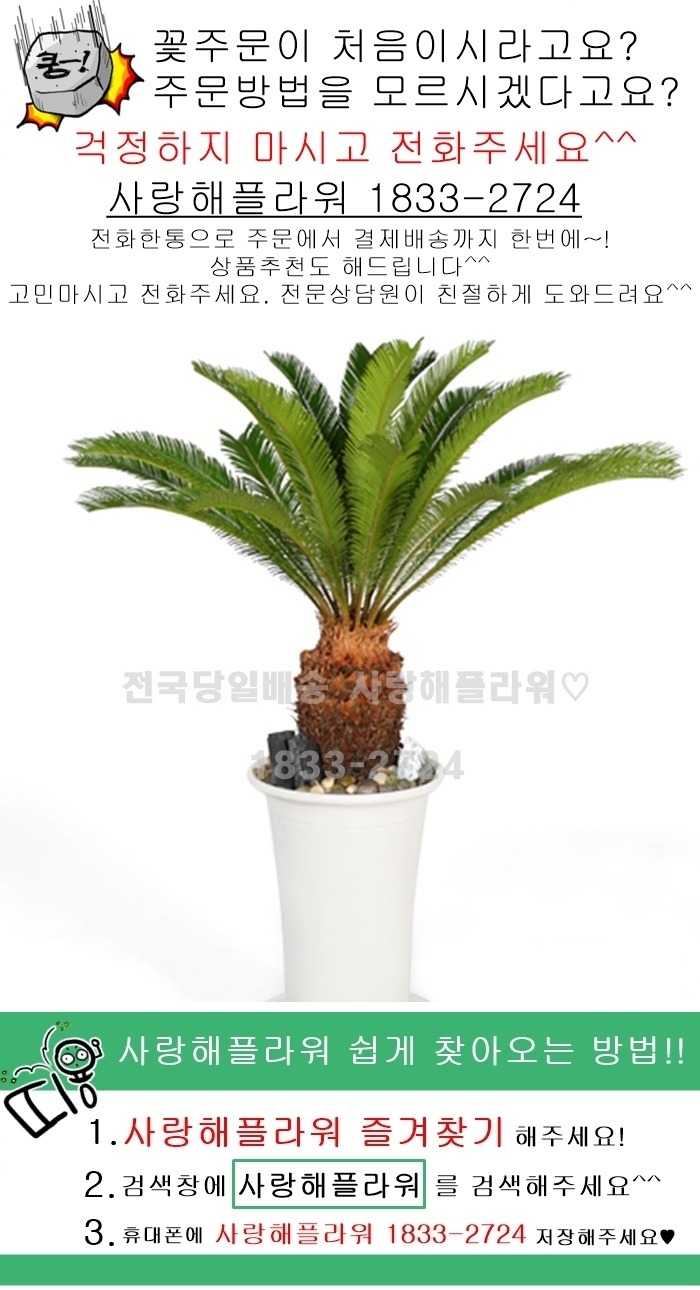 상세이미지