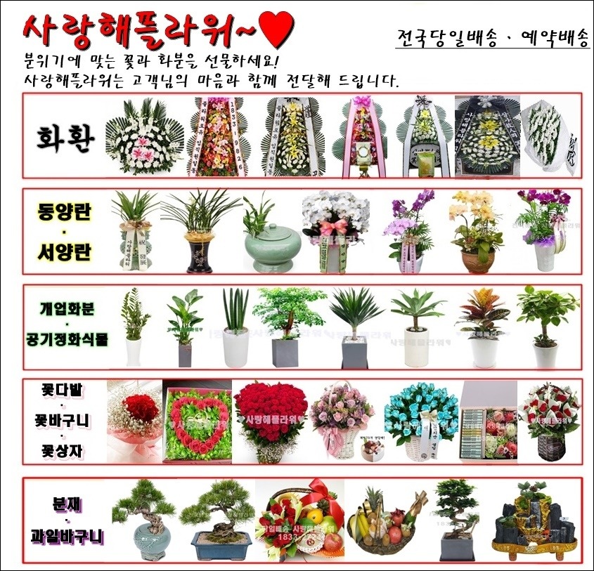 상세이미지