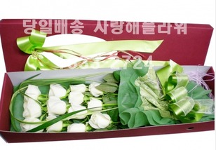 화이트사랑
